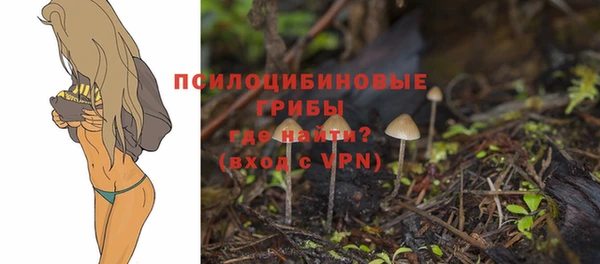 MDMA Белоозёрский