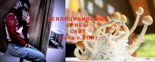 молекула духа Белокуриха