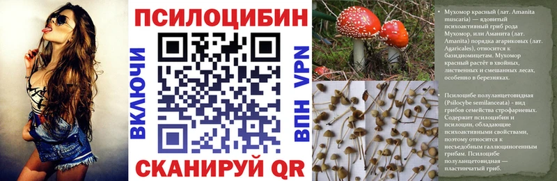 Галлюциногенные грибы прущие грибы  Кувшиново 